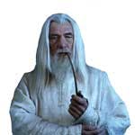 Perhaps Wang,  like Gandalf, will become even wiser with a white mane