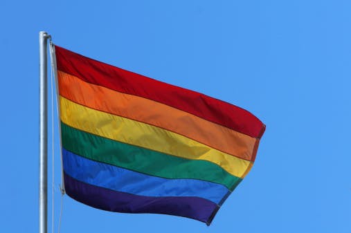 LGBT LGB flag rainbow gay diversity