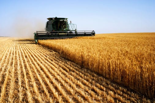 farm agriculture grain