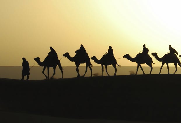 North Africa camel silhouette