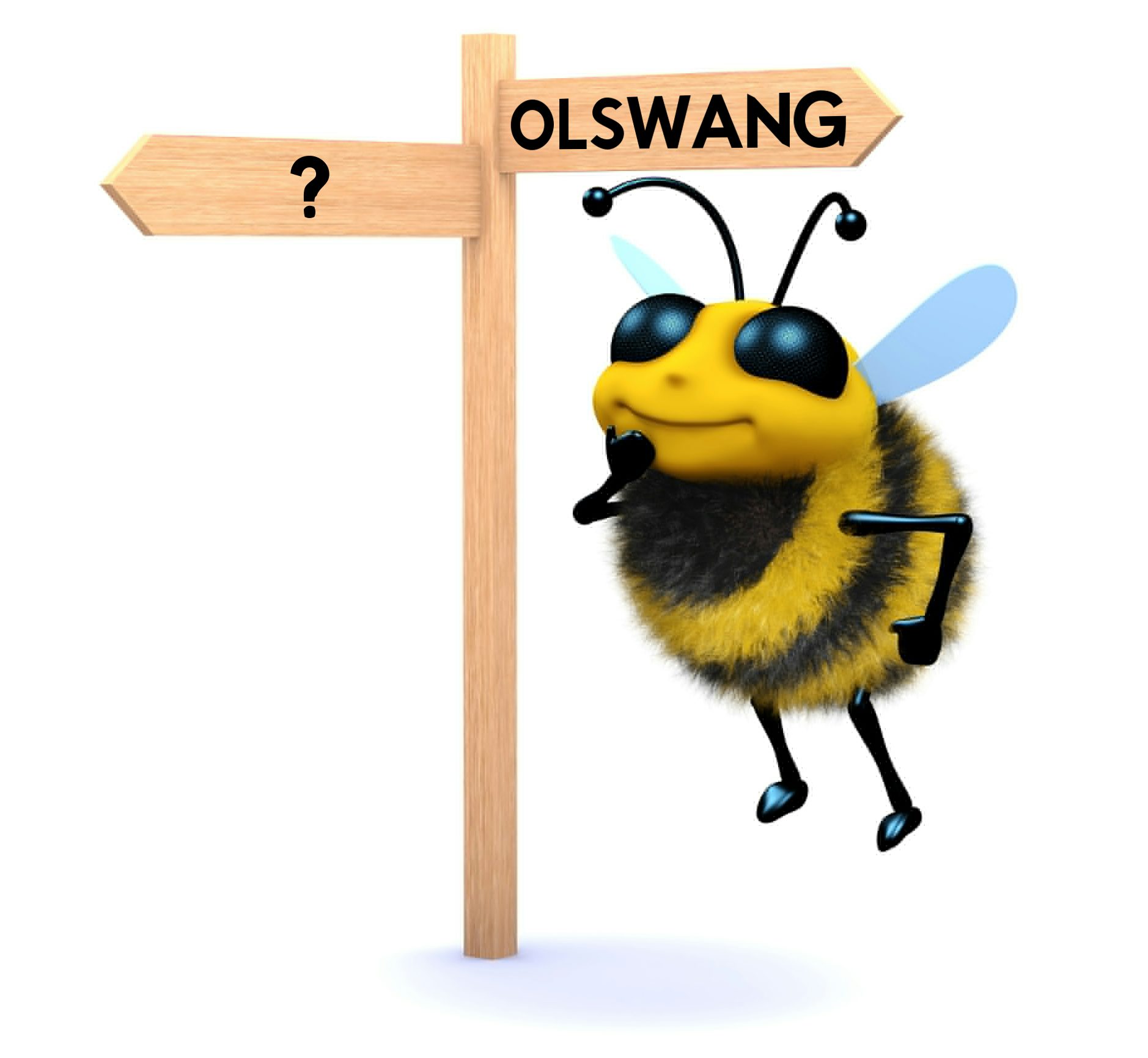 olswang bee
